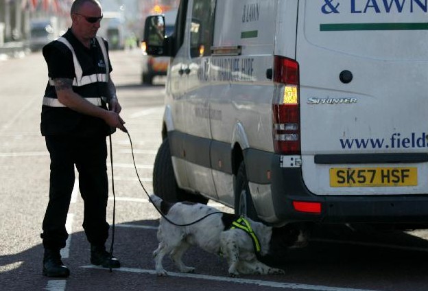 倫敦馬拉松賽采用警犬與安檢門(mén)等設(shè)備共同防御不法活動(dòng)[圖]